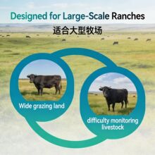 Anti-Lost GPS Tracker for Cattle & Sheep, Long Battery
