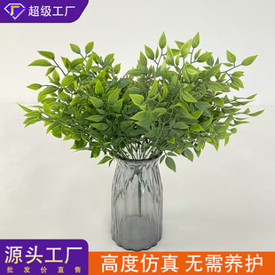 ����С���ļ�����ɢ�~��˹�~�Ҿ��҃Ȕ[���b٘��~ܛ�bֲ�����