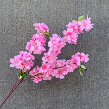 ����ѻ�֦3��ѻ����c�b���һ��滨֦�ٗl�ٻ����l����