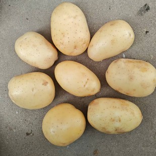 ���羳���������e�����m�������羳�ڷ����R�������������I�羳��