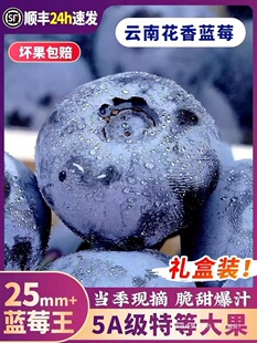 ����{ݮ�r�����w�����{ݮ���rˮ���س��������������S�Y��L25