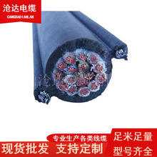 專業廠家生產廠價批發TR鋼絲加強型電動葫蘆用電纜特種電纜等