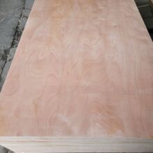 pһо3-18zϰѬľӰbбP宐