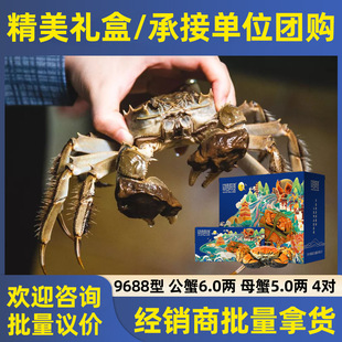 �K��ꖳξ�Ʒ���lзԴ�^���ֱ�lƷ�|��������r���д���һ�����l