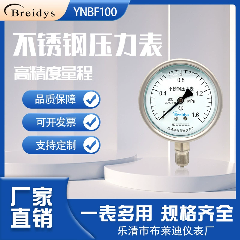 Манометр Y100 все нержавеющая сталь манометр 0-1.6mpa гидравлический манометр 0-40mpa коррозионная устойчивость