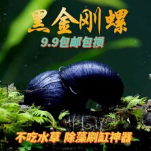 �ڽ����ݲ���ˮ�ݸ��坍��ˮ���幤���ݟᎧ�^�p���w�坍����΁ţ