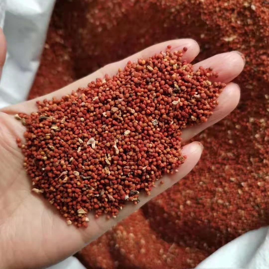 批发林木多年生杂交构树种子诸树假杨梅种子造纸树喂猪红果树