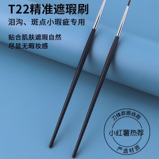 ë�ώ�ͬ��T22�������ˢT301�p�^���d�c��ˢ����Ȧ�۾�ˢ�I��ˢ