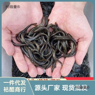 �v�v���q���r��ι�B������~���~���D����������q�Bֳ��ˮ��̫��