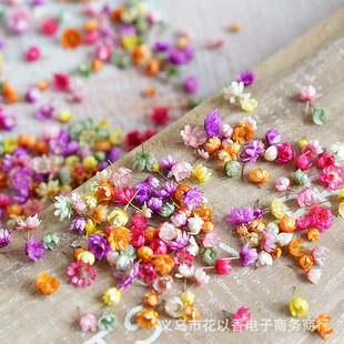 In-Stock Small Star Flower Head DIY Dried Flower Crystal Resin Flower Head Without Stem Glass Ball Filler Colorful Pink