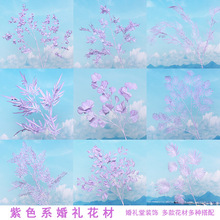 ��ɫϵ���滨 �����L�� ��c��Y���b��ĺϼ� �¿����ϼٻ�