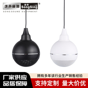 Manufacturer Wholesale 5inch Low Power Hanging Audio Pendant Ball Boom Shop Supermarket Ceiling Ceiling Speakers