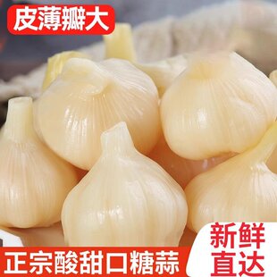 5�������Ǵ����ݲ�����������r������������������