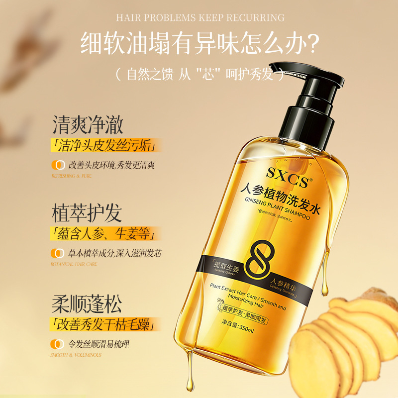 SXCS ginseng champú vegetal espuma abundante control de aceite flojo, fresco, suave, brillante, suave, fabricante image 4