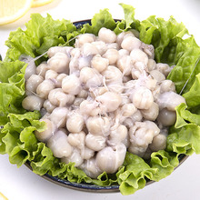 llii���~��ī�~��������r���~��Ŀ�~�����~�캣�r�������ʳ����