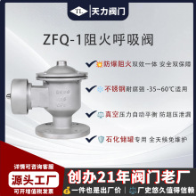 ȫ������304���P��p���������yDN100�����͹�ZFQ-1�������N