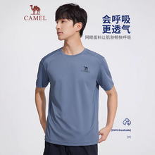 ��CAMEL����t����H��2025��͸���\�ӈA�I��ɫ���e���Fُ���l