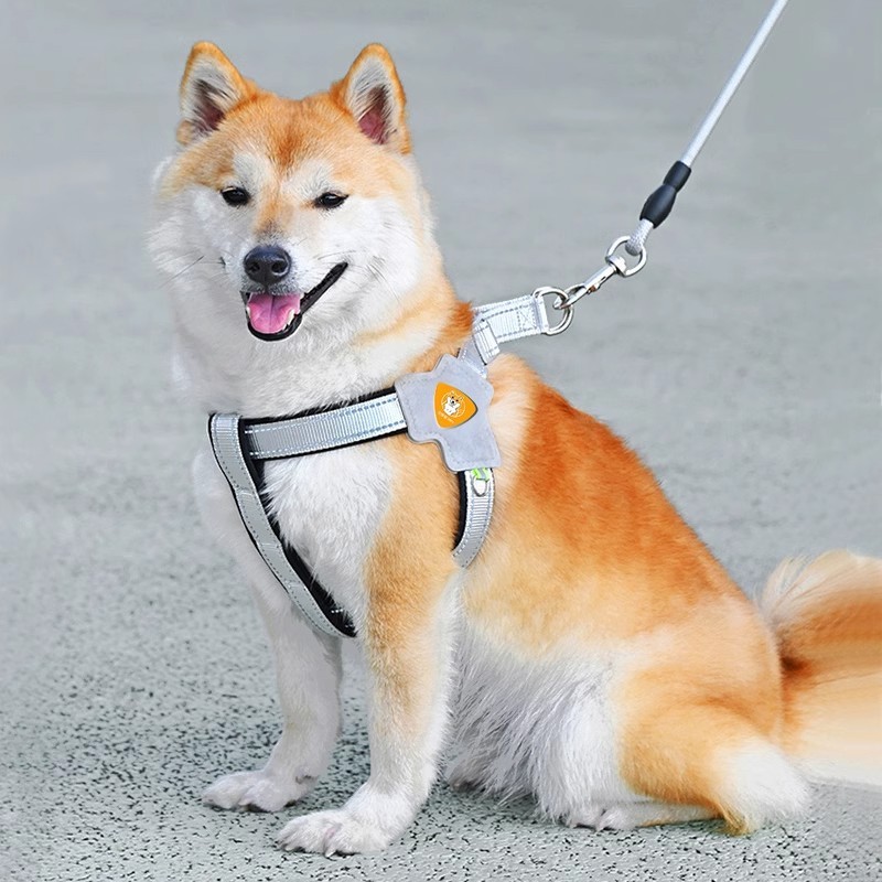 犬用リード ベスト型ペットハーネス 犬用リード 小型・中型 柴犬 コーギー ビション テディドッグチェーン|undefined