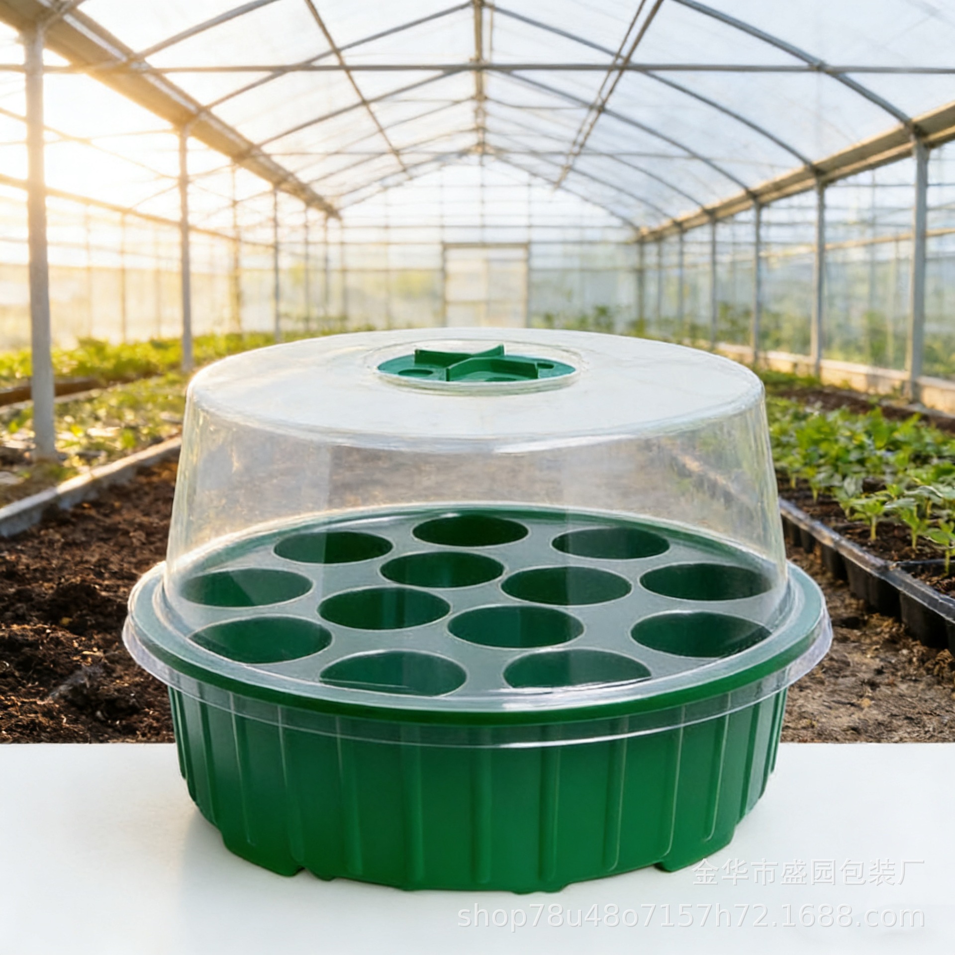 13-Hole Round Seedling Box for Home Garden Planting, Bean Sprouts, Flower Seedlings, Vegetable Planting, Cross-Border Gardening Cultivation