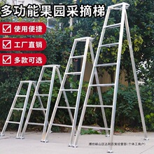 ���@�ݲ�ժ�޼����ռ{���ӈ@ˇ�����݆΂��ۯB�����݈@���������F