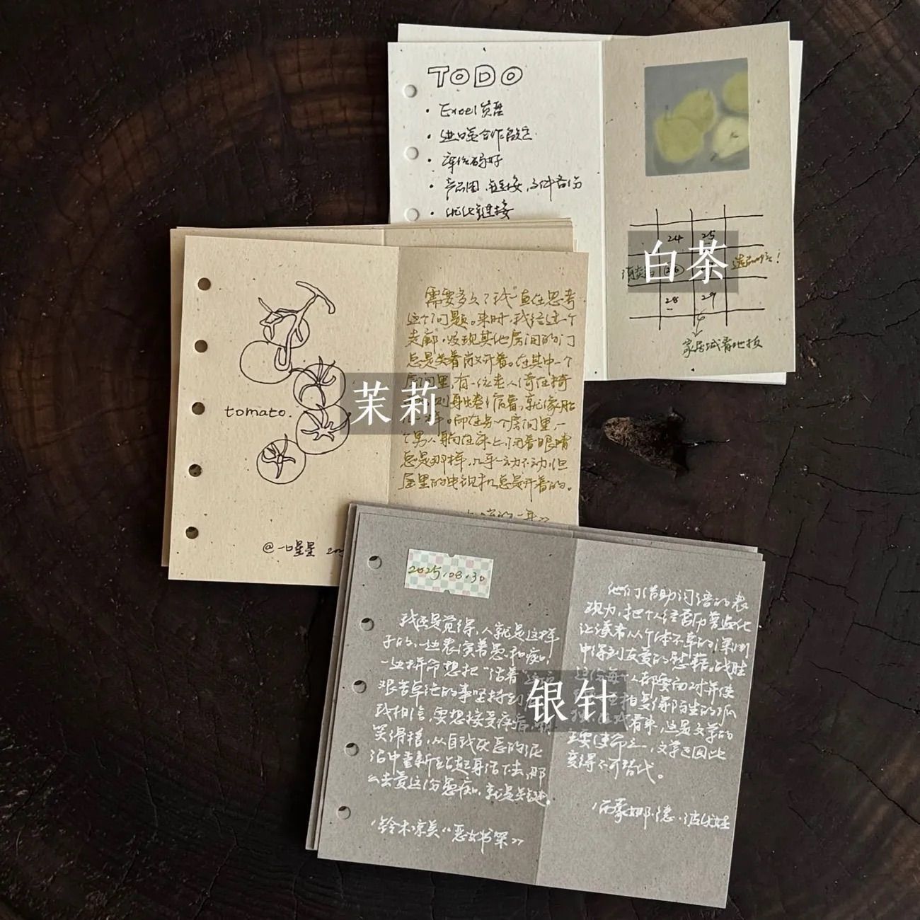 [Colección M5] Libro de hojas sueltas, accesorios de página interior, libro de contabilidad manual, libro de almacenamiento, carcasa PP, mini libro de tarjetas, bolsillo interior portátil image 25