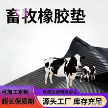 ţ����l�y���|���l�i�б������z�|������ĥţ���������z�؉|