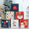 Christmas paper gift box Y6 [pack of 6] single 25cm