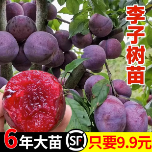 �������Ә���޽��ش�����Ó��������ӹ������ϱ����N���A�����