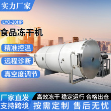 真空食品冷冻干燥机厂家全自动真空冻干机水果食品果蔬低温冻干机