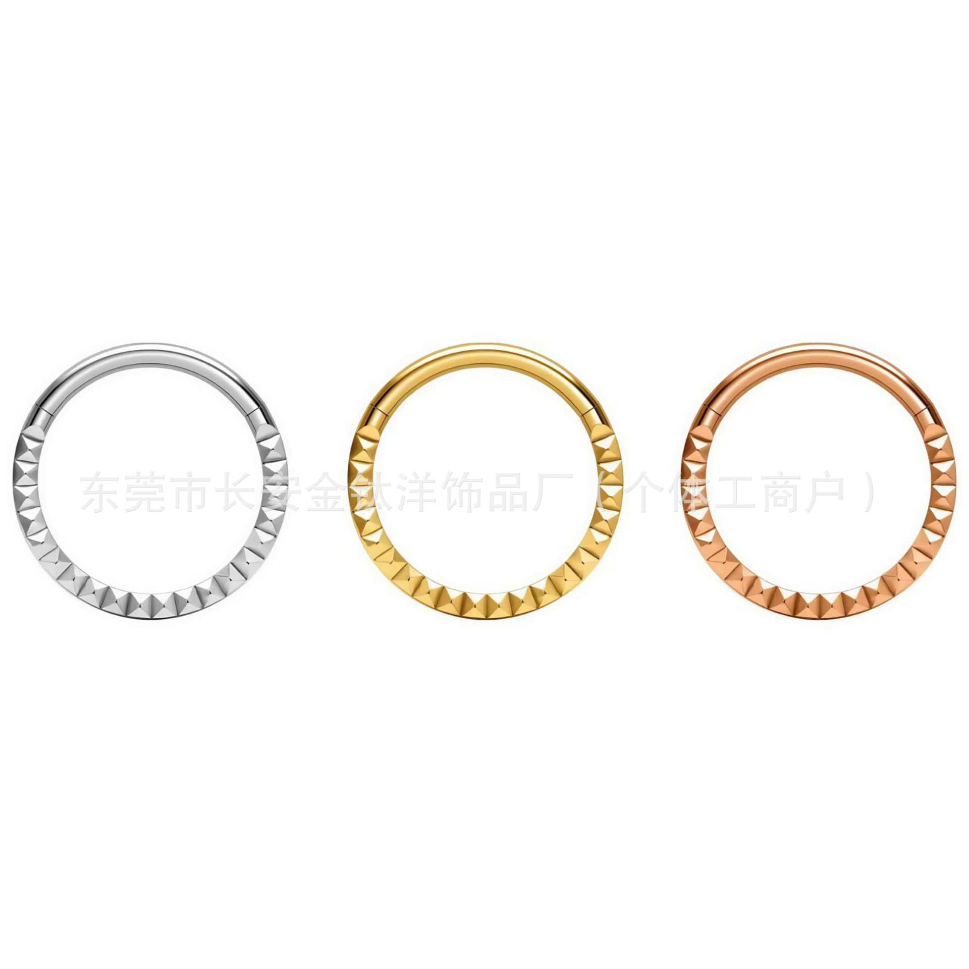 F136 Titanium Engraved Closed Ring, Pinless Seamless Ring, Nose Ring, Lip Ring, Ear Cartilage Stud, G23 Titanium Alloy Piercing Jewelry detail image 8