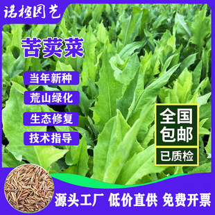 ���{�˷N�ӿ������u���Z�~���Bֳ�ļ����ݷN�Ӷ������L�׷Nֲ