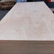 SֱN ľо һоӰ A b