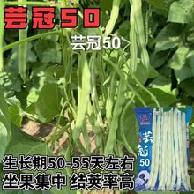 ܿ50ܶNӴoļNӰv۰׾GAL߮a