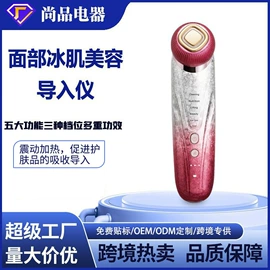 面罩美容仪;电吹风;电子美容仪