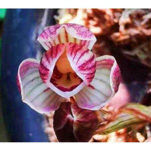 �������_�����F�m���� ɏ���m ���m�������A��