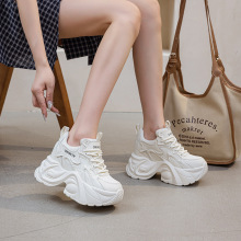 10\LϵЬŮ2025ﶬ¿͎eЬɫŮЬٴ