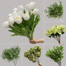 ??Gɫϵֲ쾰MȼɭϵٻĻYYb