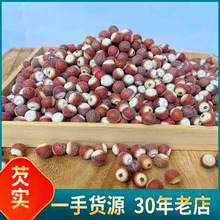 【康源】批发天然芡实个10厘12厘优选大颗粒芡实多种规格量大从优