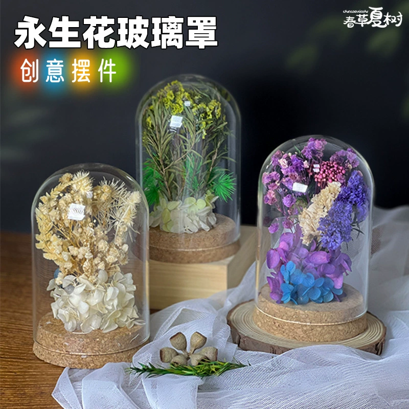 Выпускной сезон, детские подарки, вечный цветок, стеклянная крышка, декоративные украшения, ручная работа, материал «сделай сам», пакет, мероприятия для тимбилдинга