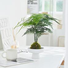 ����̦�\��ˮ��ֲ���m�ÿ��g���ӷǳ������B�o