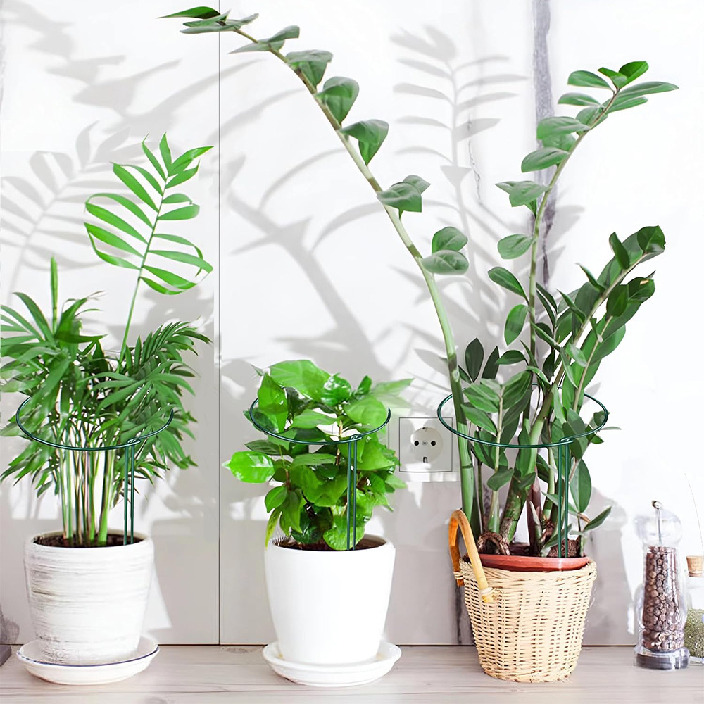 국경 간 접합 꽃 지지 프레임 조립 지지대 식물 지지대 금속 식물 막대