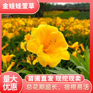 �G����������n���޸��ͺ���������ݻ���ر�ͥԺ�̨���Ի���