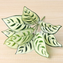 �f����׾G�ٻ��Gֲ���Ԡ����b���ֲ���~�ӱ������廨��ľG�}