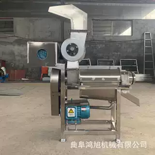 1吨果蔬大型榨汁机 大产量橙子柠檬打浆机 刺梨破碎挤压出汁机