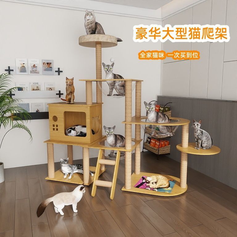 1b0f4de4-5399-4caf-89ea-57ad0ce42a8f.jpe