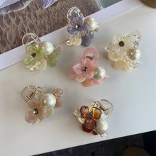 nϵ͸ץAݿСlX̖Rβ̶~A