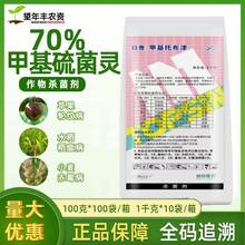 �ղܼ���70%�׻��в���׻�����`݆�y���׷۲��y�ݲ��rș������