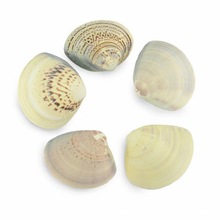 ��ؐ����Ȼ����ؐ��؛Դ���l ����ؐ �~���쾰�[�� DIYؐ��ԭ��