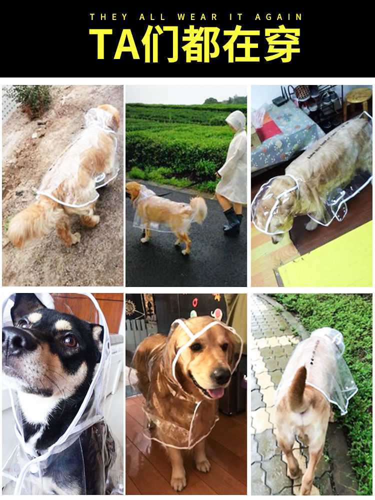 0550a1c2-b86d-4be9-be0d-68f39a85c5f0.jpe