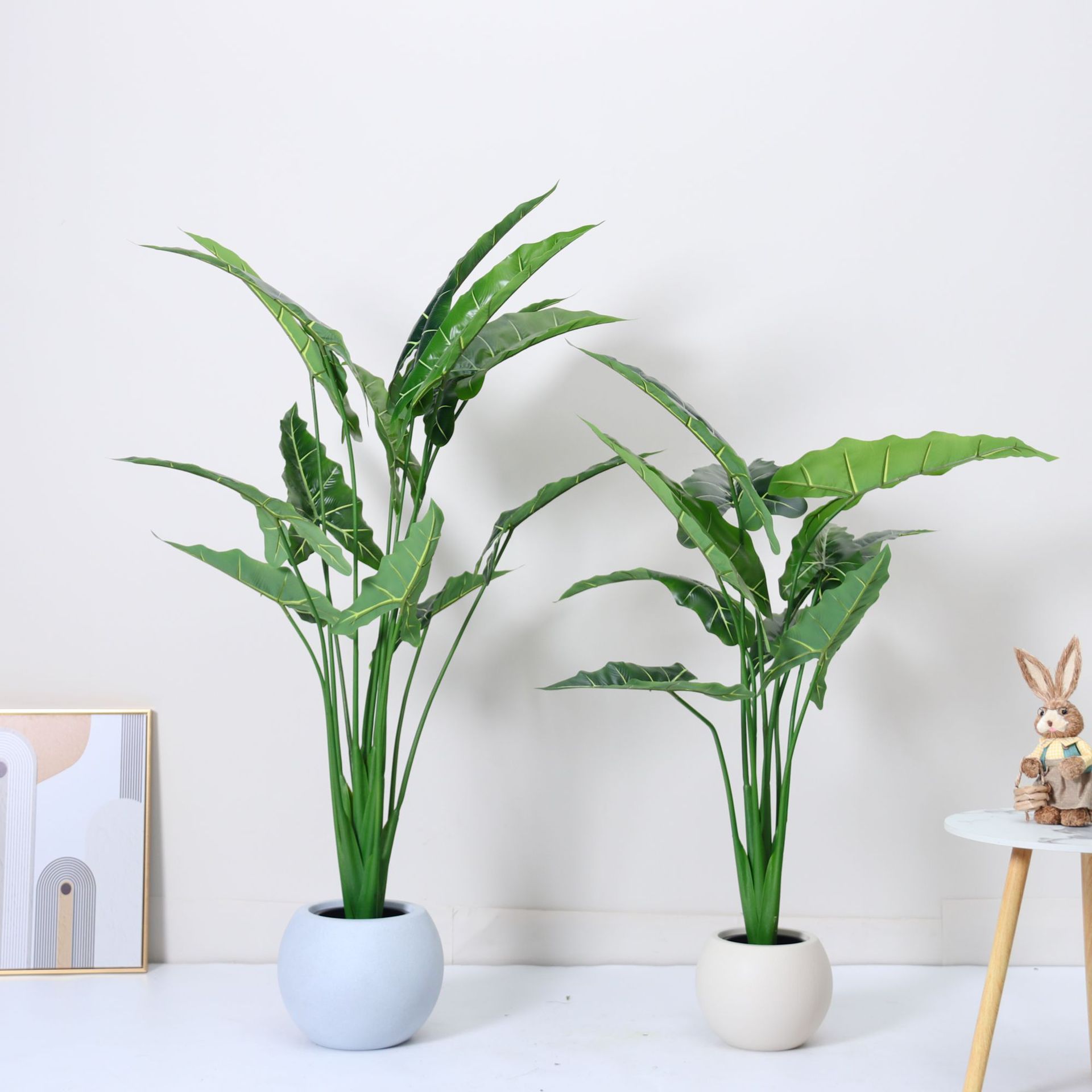 Simulación de estilo nórdico Alocasia, plantas verdes, plantas en macetas, ventanas de interior, decoración de piso a techo, paisajismo, plantas biónicas de Alocasia salis